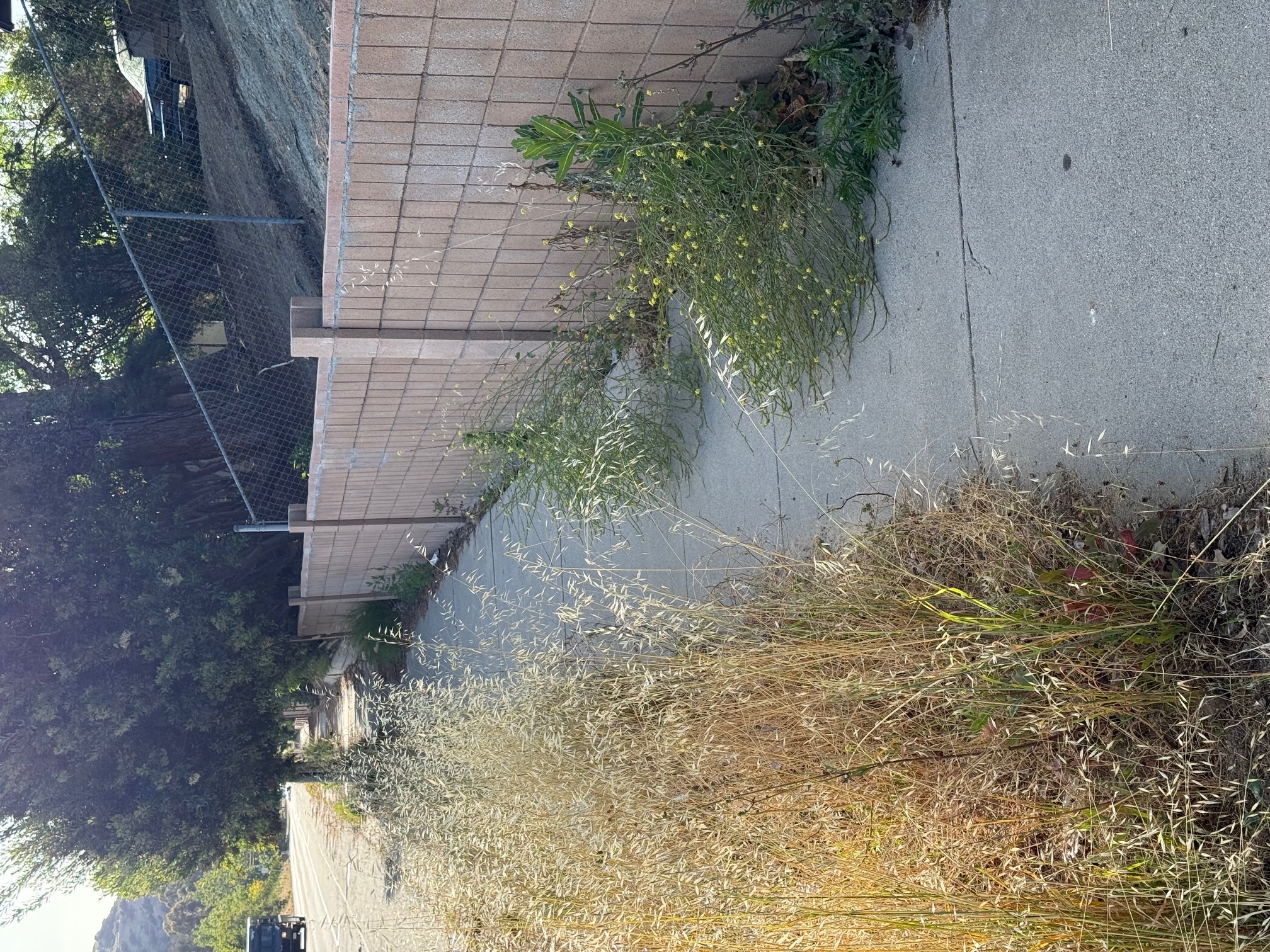 April 2026 Community Beautification Project